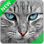 Farm Animal Sounds icon