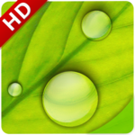 Rain Sounds: Relax and Sleep icon