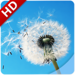 Wind Noise: Relax and Sleep icon