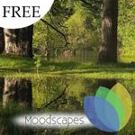 Still Pond for Google TV free for PC