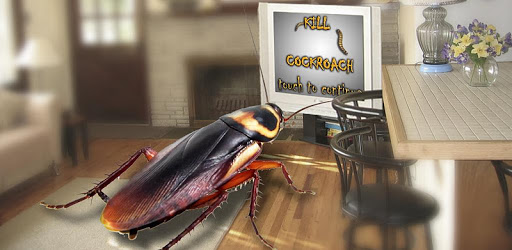 KillCockroach PC screenshot