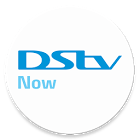 Dstv Now icon