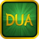 Dualar icon