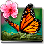 Season Zen Free for PC Season Zen Free for PC