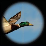 Duck Hunting Unlimited 3D for PC