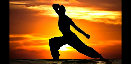 Martial Arts - Training and workouts PC screenshot