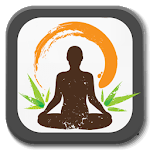 Yoga Lessons - Meditation icon
