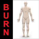 Burn Table icon