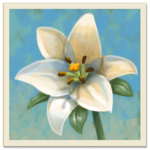 Inner Garden for PC