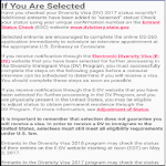 U.S.A DV Lottery Process icon