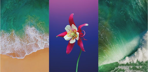 HD Wallpapers for iPhone PC screenshot HD Wallpapers for iPhone PC screenshot