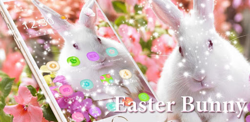 Cute bunny Theme happy easter PC screenshot