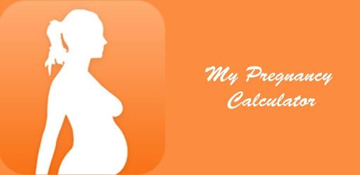 My Pregnancy Calculator PC screenshot My Pregnancy Calculator PC screenshot