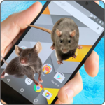 Mouse Screen Terrible Joke for PC