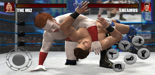 Cage Wrestling Revolution Royale Championship 2018 PC screenshot