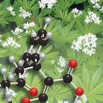 Biochemistry Handbook for PC Biochemistry Handbook for PC