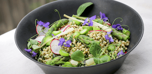 High Fiber Food Diet Recipes Offline, Antioxidants PC screenshot