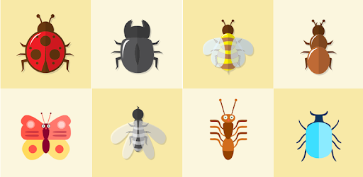 Entomology Dictionary PC screenshot Entomology Dictionary PC screenshot