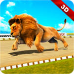 Wild Lion Racing Fever : Animal Race icon