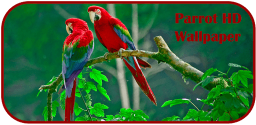 Parrots HD Live Wallpaper PC screenshot
