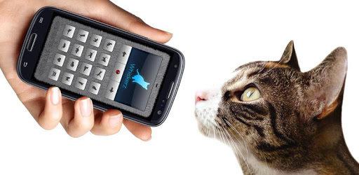 Human-to-Cat Translator PC screenshot