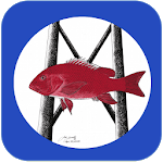 Tails n' Scales icon