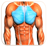 Chest Workout™ for PC