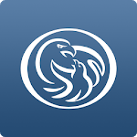 EMIC icon