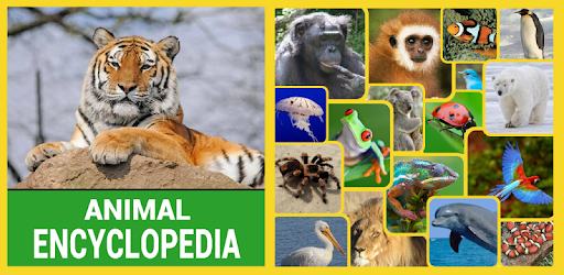 Animal Encyclopedia PC screenshot