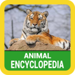 Animal Encyclopedia icon