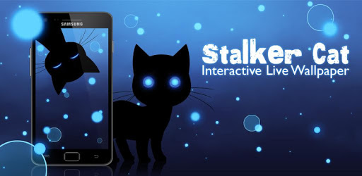 Stalker Cat Wallpaper PC screenshot Stalker Cat Wallpaper PC screenshot