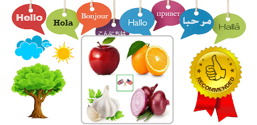 Vegetables and Fruits Vocabulary PC screenshot Vegetables and Fruits Vocabulary PC screenshot