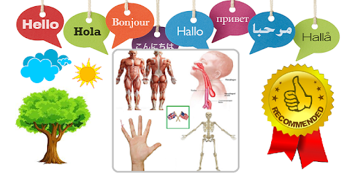 Body Parts Name and Pictures PC screenshot