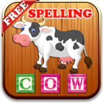 Spelling English Vocabulary icon