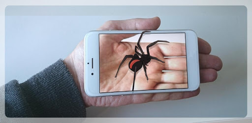 Spider On Hand Prank PC screenshot