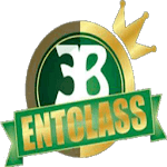 Entclass Blog icon