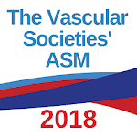 VSASM2018 icon
