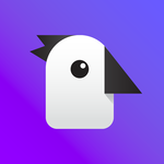 Dirty Birdy: Evil Rhyme Game for PC