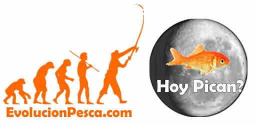 Hoy Pican PC screenshot