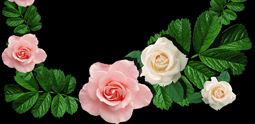 Flowers Photo Frames PC screenshot