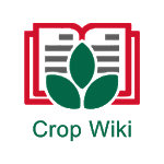 CropWiki EWS icon