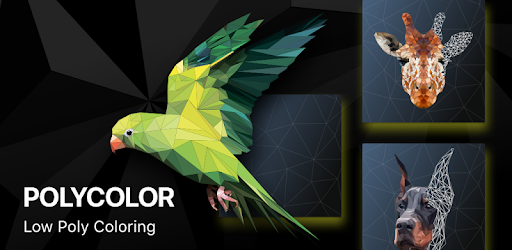 PolyColor - Color by Number Poly Art Coloring Game PC screenshot