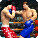 World Tag Team Super Punch Boxing Star Champion 3D icon