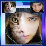 Face Fusion the Illusion for PC Face Fusion the Illusion for PC