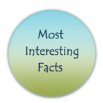 Most Interesting Facts for PC Most Interesting Facts for PC