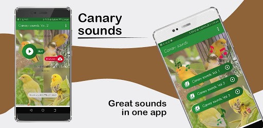 Canary Sounds, Chants and tones free PC screenshot Canary Sounds, Chants and tones free PC screenshot