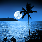 Moonlight Live Wallpapers for PC Moonlight Live Wallpapers for PC