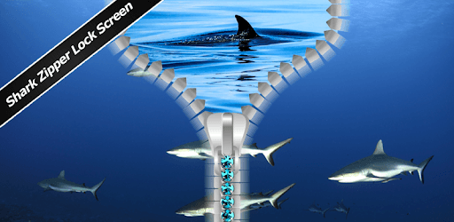 Shark Zipper Lock Screen PC screenshot Shark Zipper Lock Screen PC screenshot