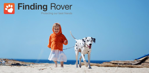 Finding Rover PC screenshot