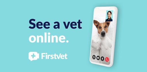 FirstVet PC screenshot FirstVet PC screenshot